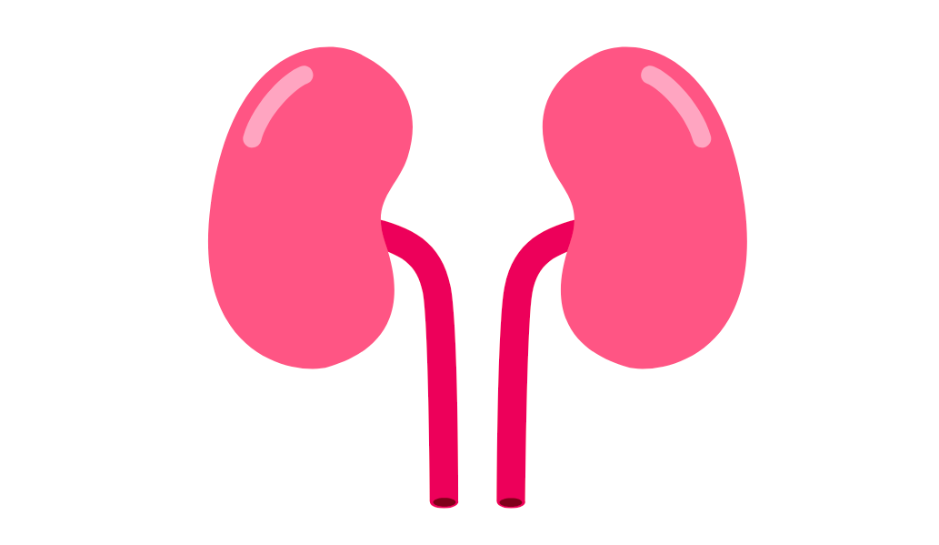 Kidney Disease Banner